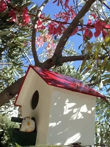 Villa Marta Apartmani Trogir